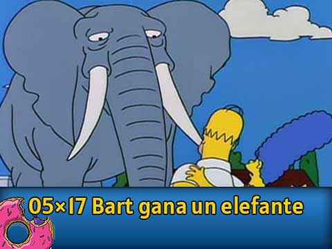 05Ю17 Bart gana un elefante